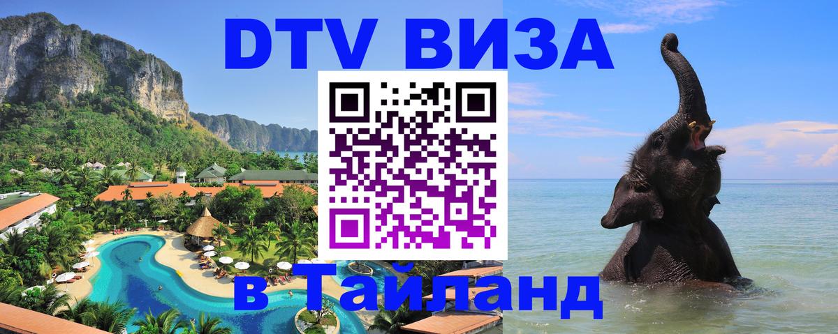 Сколько стоит DTV виза — актуальные цены, оформление даже без документов - Ташкент  19.11.2025 